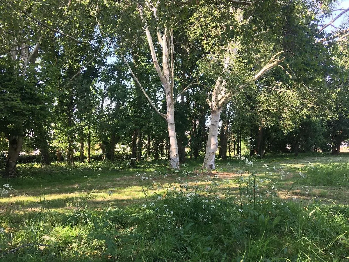 Villa Maison Dans La Prairie Plurien
